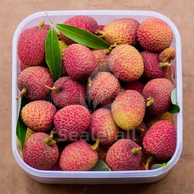 خرید دستگاه بسته‌بندی اتمسفر اصلاح‌شده استیل ضد زنگ برای لیچی تازه تولید آنلاین